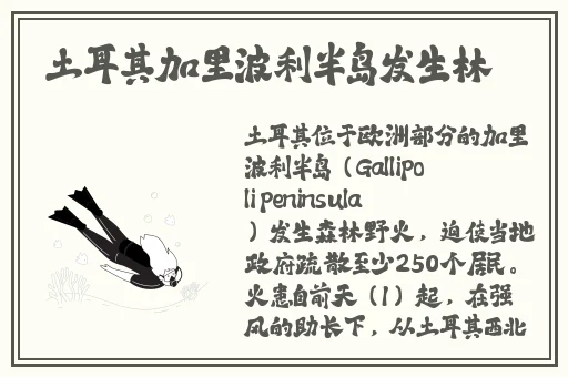 91精品中综合久久久久婷婷
